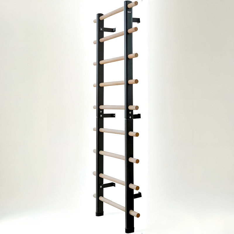 ZETY wall-mounted Swedish ladder, 78 x 31.5 inches, 9 stall bars with pull-up and dip station