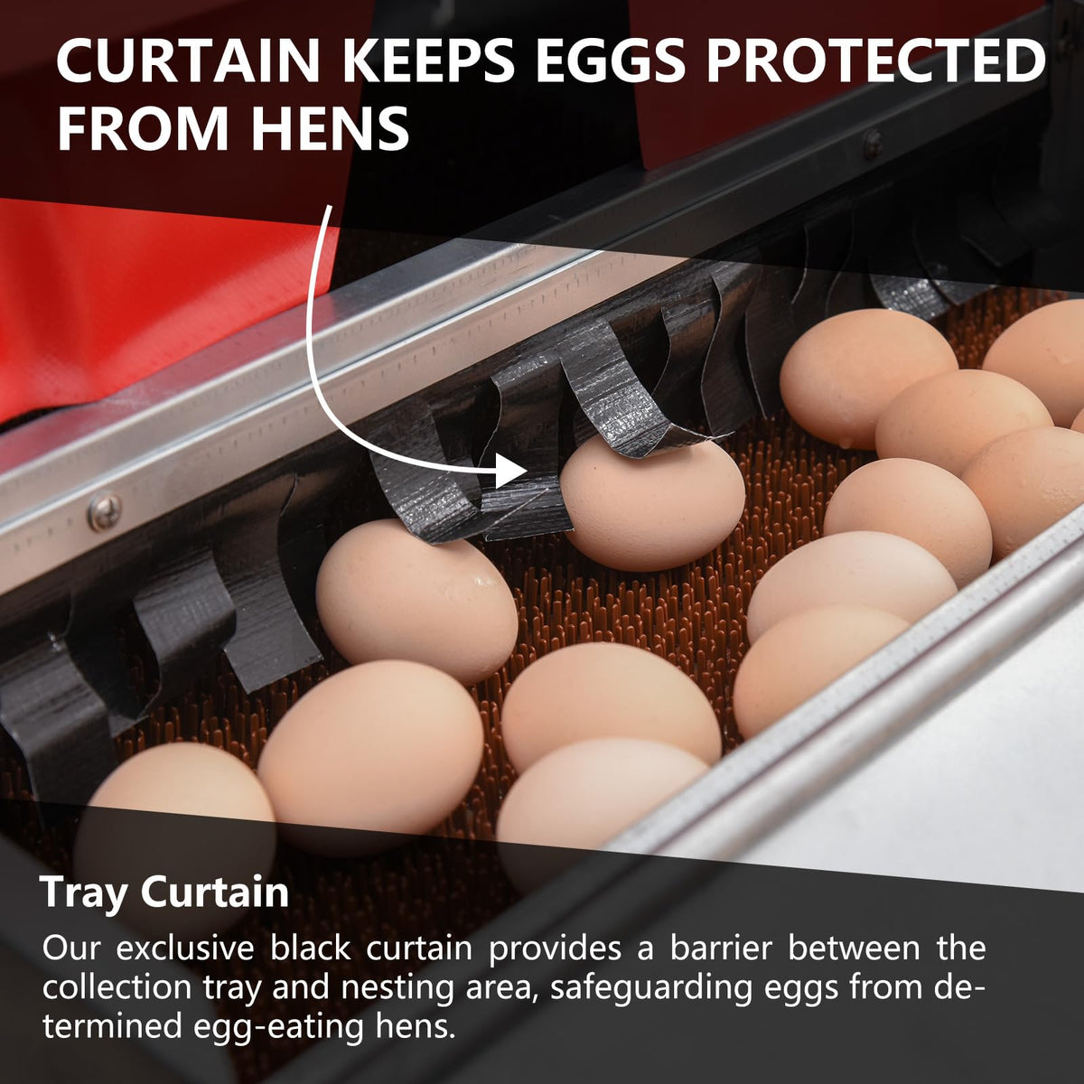 Chicken egg laying box in galvanized steel for a coop, up to 20 hens, ZETY